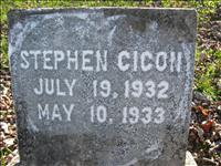Cicon, Stephen